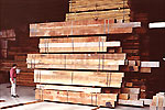 Sawn timber being inspected at timber yard