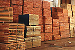 Sawn timber ready for export