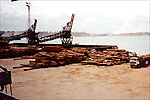 Timber terminal operations