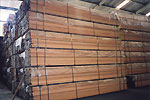 Timber packed in plastic sheets, ready for export