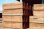 Timber stacked at our timber terminal, ready for export