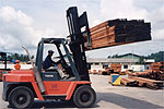 Fork lift moving timber at our timber terminal