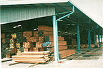 Timber stacked at our timber terminal, ready for export