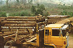 Timber yard operations