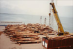 Log yard operations in progress